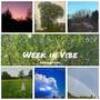 Week in Vibe