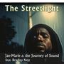 The streetlight (feat. Bradley Noy & Max Davis) [Explicit]