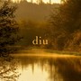 Diu