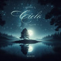 Sotto il Cielo di Notte