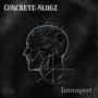 Introspect (Explicit)