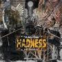 Madness (feat. SeeYou) [Explicit]