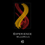 Experience