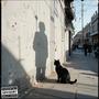 Gato Preto