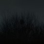 Hard Light