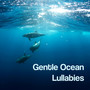 Gentle Ocean Lullabies