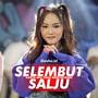 DJ Selembut Salju - Hanya aku yang mencintaimu