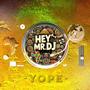 Hey Mr. DJ (Afro House Mix) [Explicit]