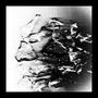 Fragments