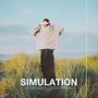 Simulation (Explicit)