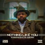 Nothing Like You (Original Motion Picture Soundtrack) [Explicit]