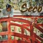 Seco (feat. Suckre LDO) [Explicit]