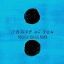 Shape of You(HouseCat Bootleg Remix)