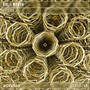 Fission