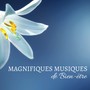 Magnifiques Musiques de Bien-être - La plus belle musique douce du monde