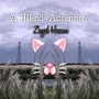 A Blind Adventure