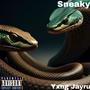 Sneaky (Explicit)