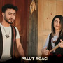 Palut Ağacı