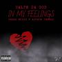 In My Feelings (feat. Ariana Jewels & Swagg Milly) [Explicit]