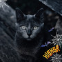 Higher