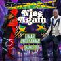 Dancehall Nice Again (feat. Shankle Dip)