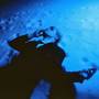 blue liver