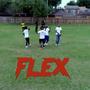 Flex (Explicit)