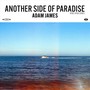 Another Side of Paradise (feat. Steve Stout)