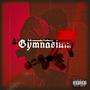 Gymnasium (Explicit)