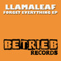 Forget Everything EP