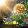Flor Amarilla Danza Contemporánea