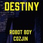 Destiny (feat. Cozjin) (Explicit)