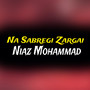 Na Sabregi Zargai (Explicit)