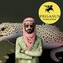 FLY PEGASUS (feat. Naqab Dhaari)