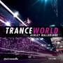 Trance World Vol.11