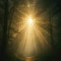 Light of my Light