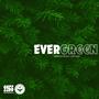 Evergreen (Explicit)