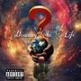 Meaning in Life (Explicit)