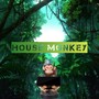 HOUSE MONKEY