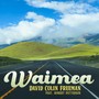 Waimea (feat. Robert Patterson)