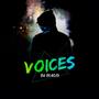 Voices