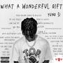 What A Wonderful Gift (Explicit)