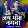 Jay Bhim Namawa