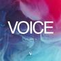 Voice, Vol. 16