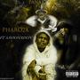 Panaramic Flow (feat. Savionadon) [Explicit]