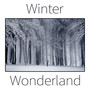 Winter Wonderland – Instrumental, Christmas Music, Traditional Carols, Christmas Songs, White Holiday with Family, Magical Atmosphere