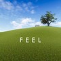 Feel