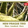 The New Prague Trio (Eben, Loudová, Kurz)