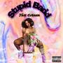 Stupid Badd (Explicit)