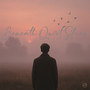 Beneath Quiet Skies